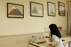 Prof. Arshadi Building - Dyeing Laboratory 7